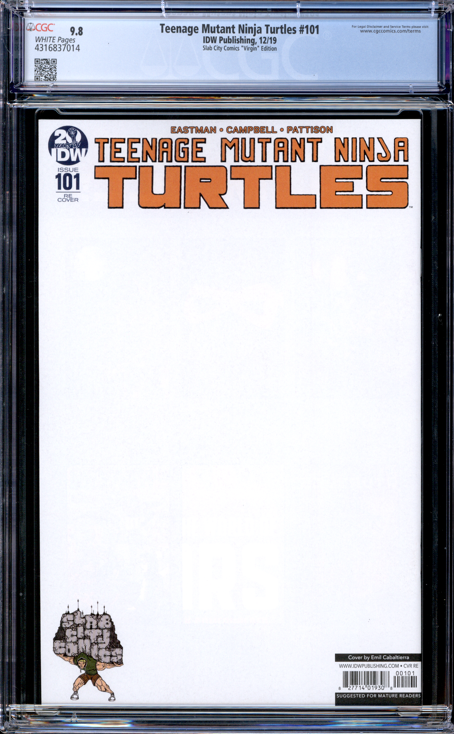 Teenage Mutant Ninja Turtles #101-105 [SET OF 5] | Emil Cabaltierra Cover