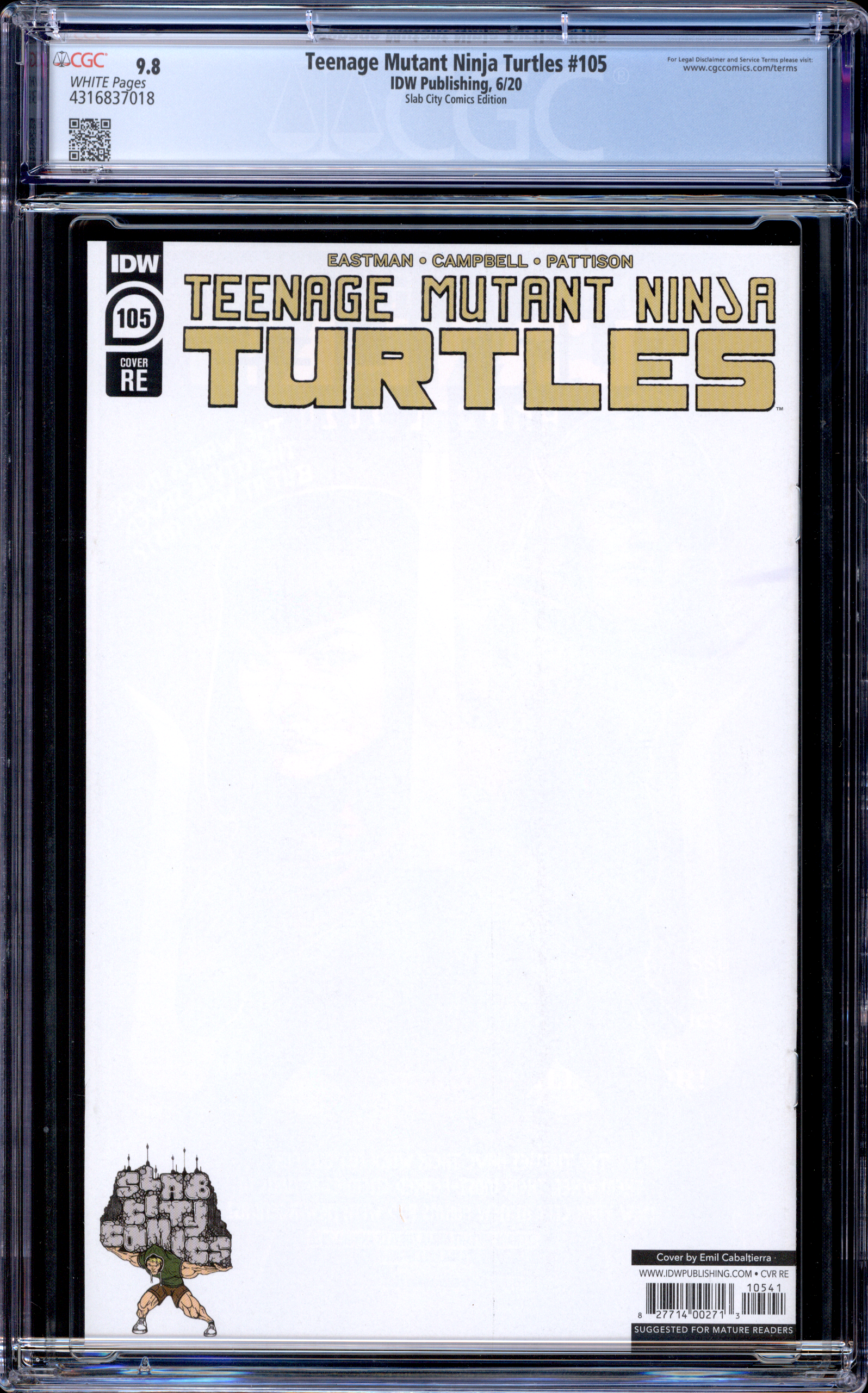 Teenage Mutant Ninja Turtles #101-105 [SET OF 5] | Emil Cabaltierra Cover
